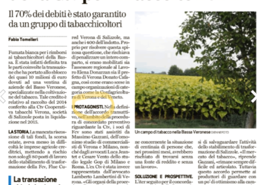 Definitiva la transazione del credito dei produttori di tabacco a Verona grazie a Massimo Gazzani dello Studio Gazzani